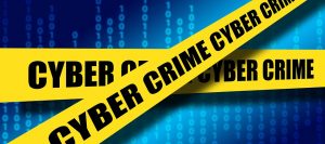 ネット警察　Cyber crime