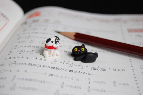 数学 算数の勉強は超重要 意味ないなんて言ってたら人生終了だよ ネットビジネスに人生を懸けてみた
